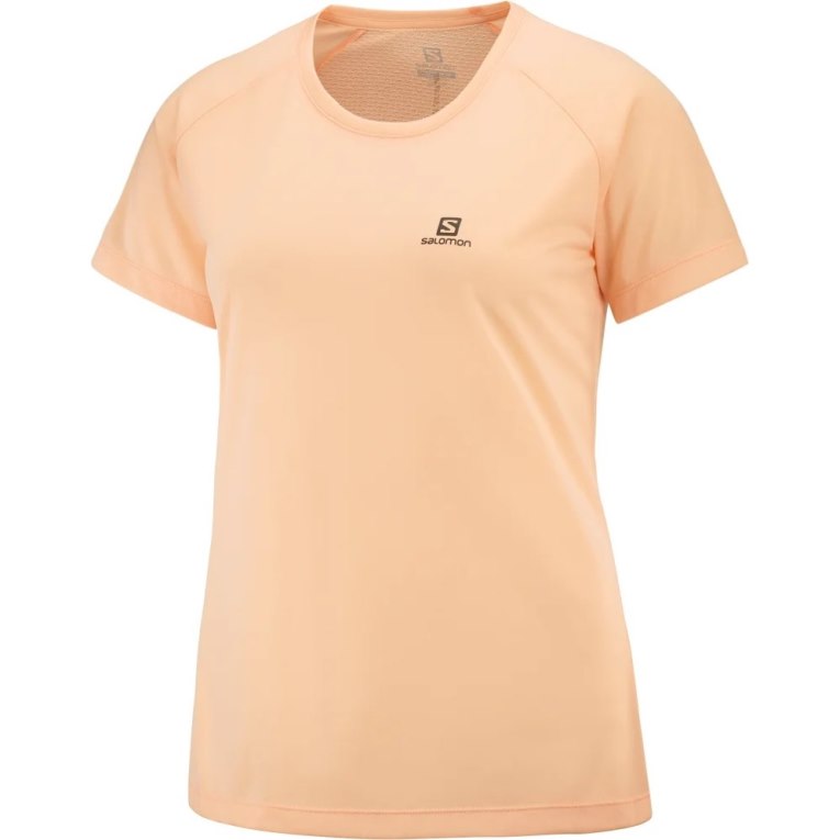 Apricot Salomon Cross Rebel Short Sleeve Women's T-Shirts | PH 51627H